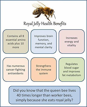 Mujeza Raw Mountain Sidr Honey with Fresh Royal Jelly, عسل سدر جبلي أصلي مع غذاء الملكات Equal to Manuka Effectiveness Unprocessed Gluten Free Non GMO 100% Natural (500g / 17.6oz) - Mujezat Al-Shifa